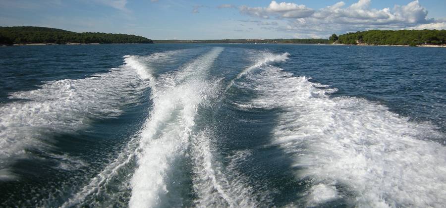 skipper intro slika opcenito